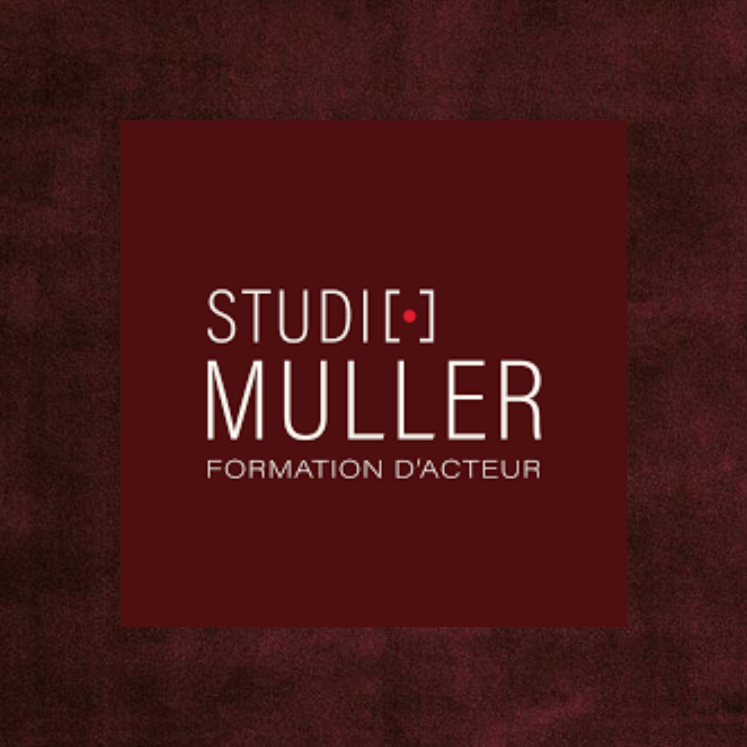 Logo Studio Muller